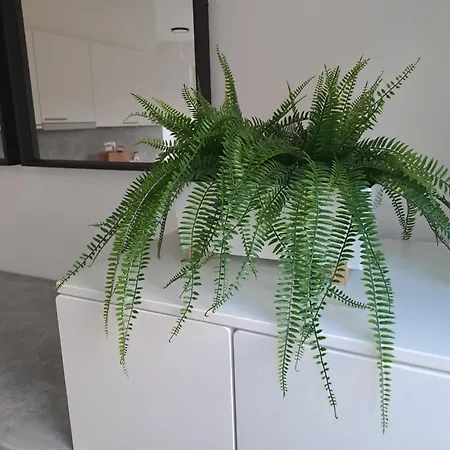 Appartement Apartmans Mwm 2