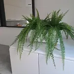 아파트 Mwm 2